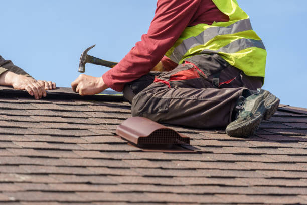 Best Roof Leak Repair  in Spring Grove, IL