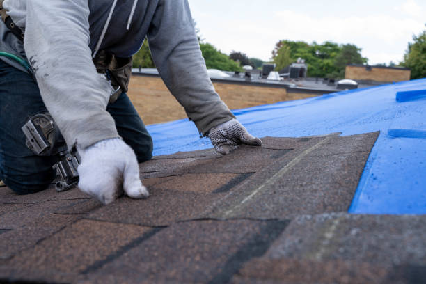 Quick and Trustworthy Emergency Roof Repair Services in Spring Grove, IL