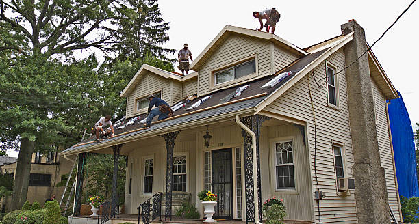 Best Flat Roof Repair Services  in Spring Grove, IL